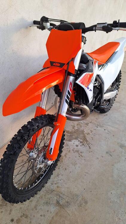 KTM SX 300 (2023) (3)