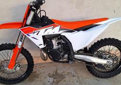 KTM SX 300 (2023) usata