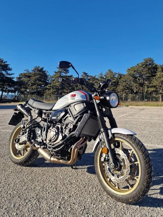 Yamaha XSR 700 XTribute (2021) (2)