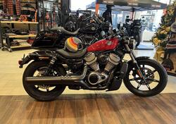 Harley-Davidson Nightster (2023 - 24) usata