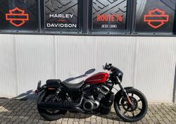 Harley-Davidson Nightster Special (2023 - 24) usata