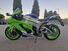 Kawasaki Ninja 1000 ZX-10R 40th Anniversary Edition (2024) (6)