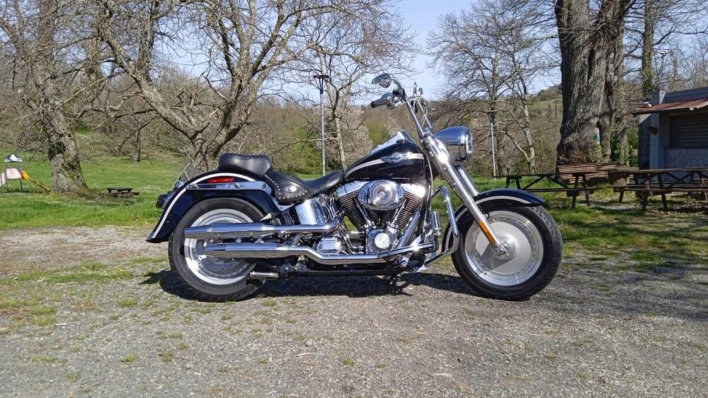 Harley-Davidson 1450 Fat Boy (2003 - 06) - FLSTFI (5)