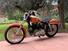 Harley-Davidson XLH 900 Sportster Ironhead  (17)