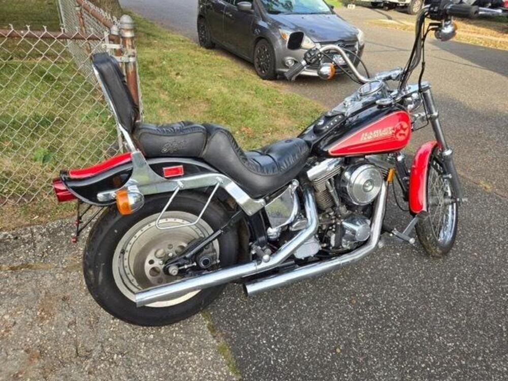 Harley-Davidson 1340 Custom (1989 - 98) (3)