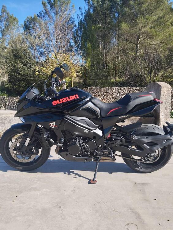 Suzuki Katana 1000 (2019 - 20) (2)