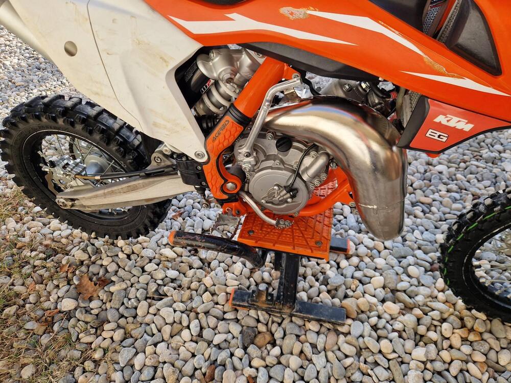 KTM SX 65 (2018) (4)