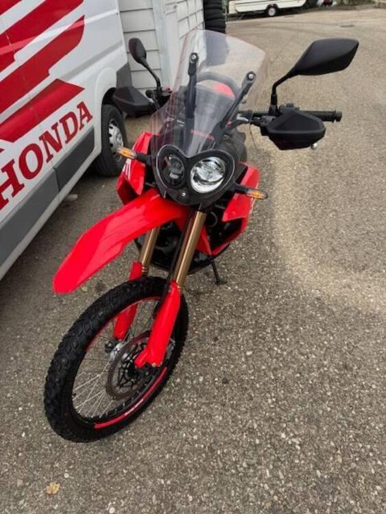 Honda CRF 300 Rally (2021 - 24) (3)