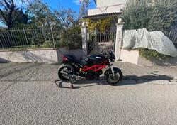 Ducati Monster 695 (2006 - 08) usata