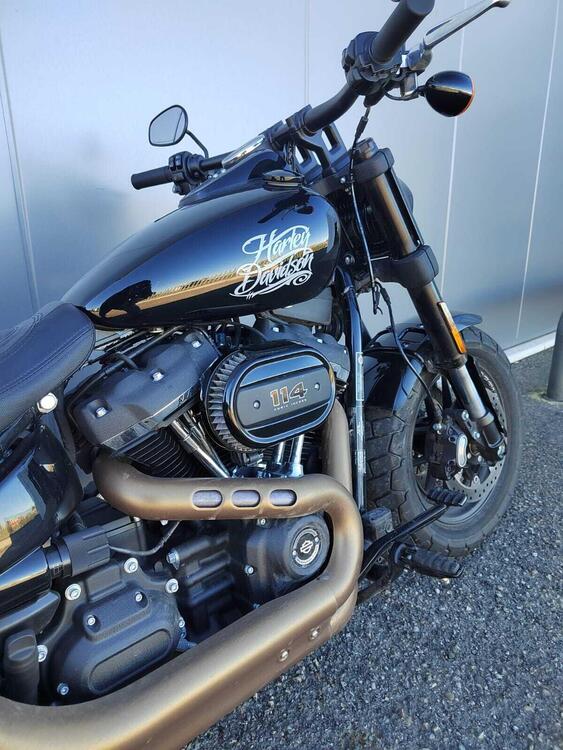 Harley-Davidson Fat Bob 114 (2021 - 24) (3)