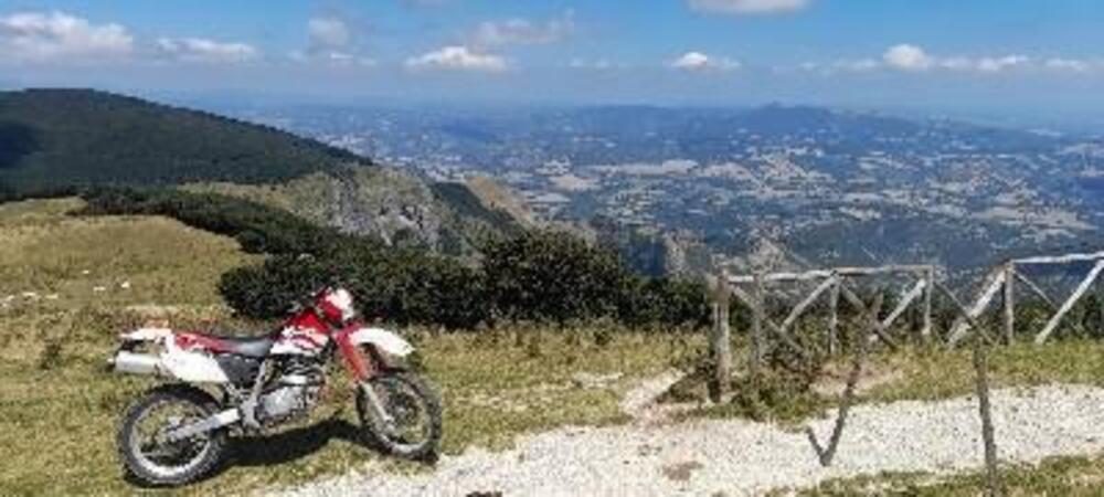 Yamaha TT 600 R (2)