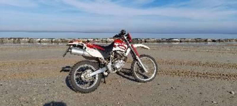 Yamaha TT 600 R (3)