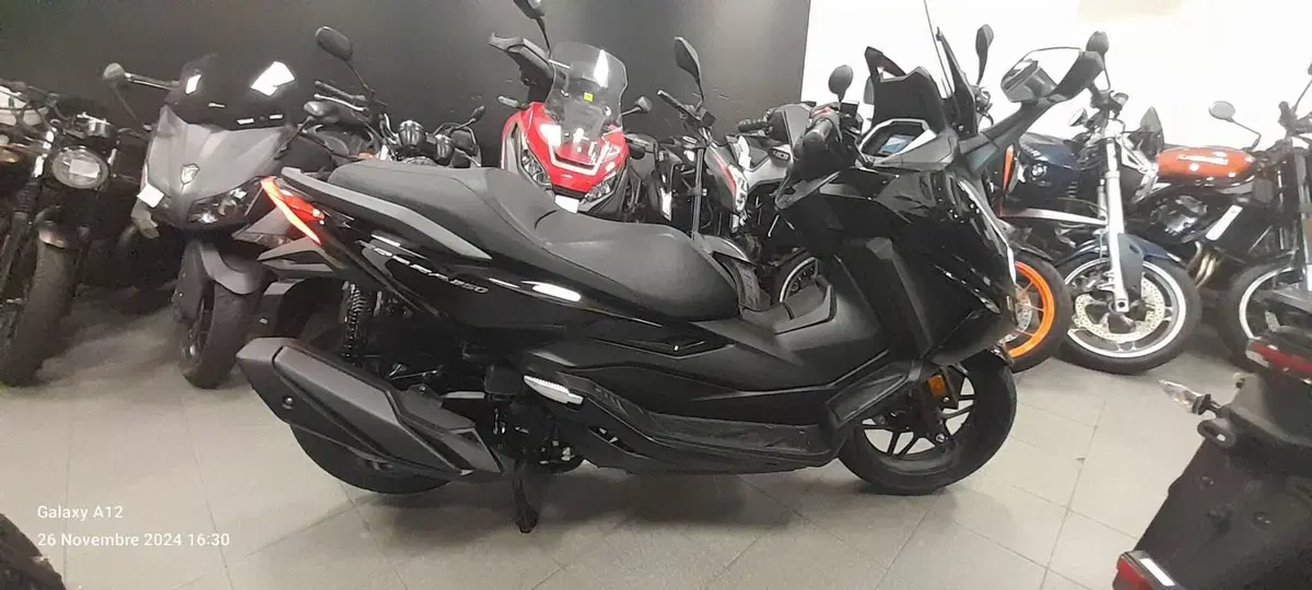 Honda Forza 350 (2025 - 26)