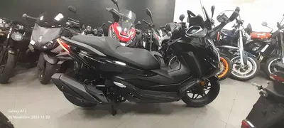 Honda Forza 350 (2025 - 26) nuova