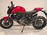 Ducati Monster 937 (2021 - 24) (6)