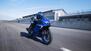 Yamaha YZF R125 (2023 - 25) (12)