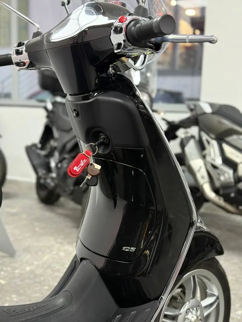 Vespa Primavera 125 (2024 - 25) (4)