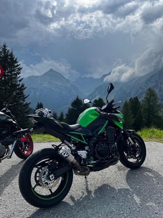 Kawasaki Z 900 (2021 - 24)