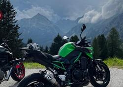 Kawasaki Z 900 (2021 - 24) usata