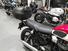 Triumph Bonneville T100 (2021 - 25) (15)