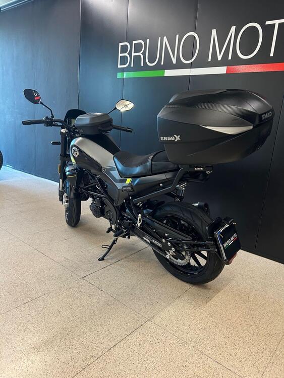 Benelli Leoncino 250 (2019 - 20) (4)