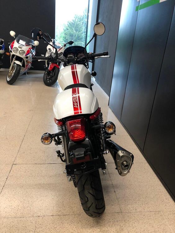 Sym Wolf CR 300 (2019 - 20) (4)