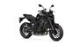 Yamaha MT-09 (2024 - 25) (11)