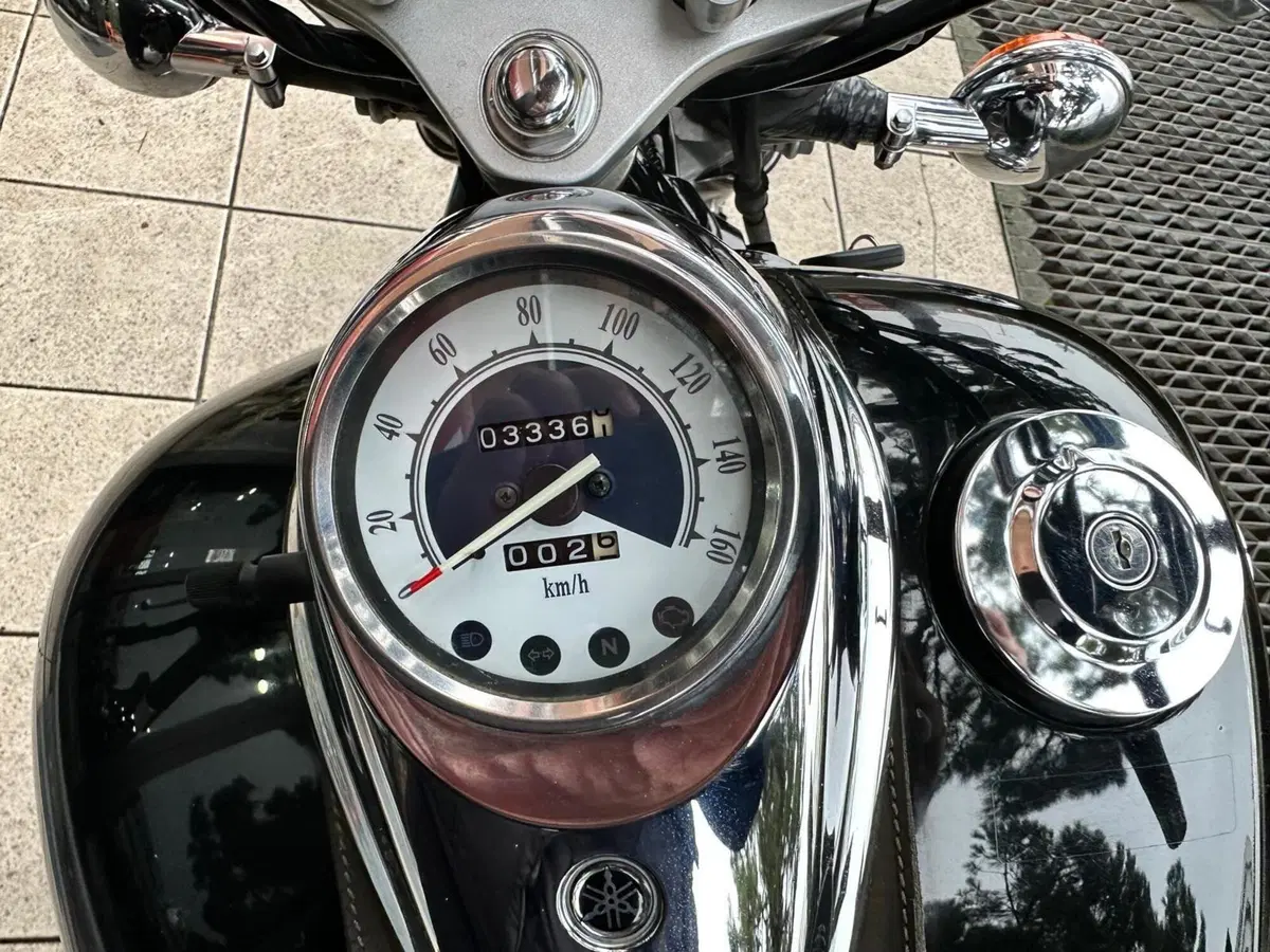 Yamaha XVS 250 Drag Star (8)