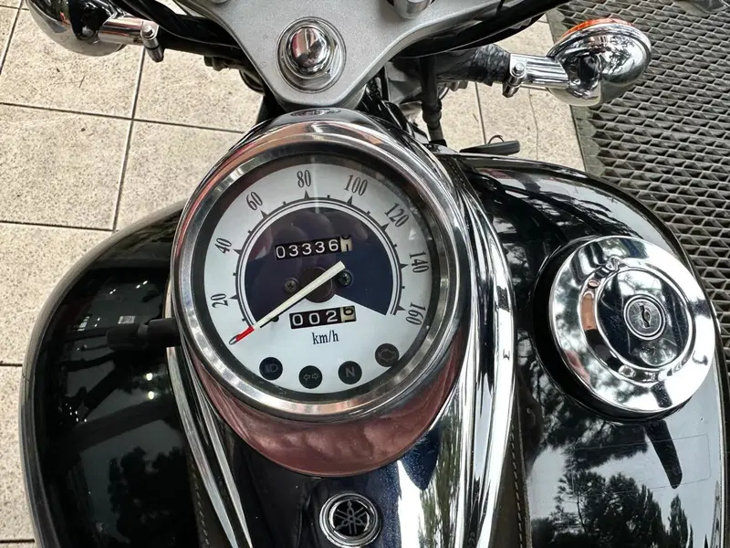 Yamaha XVS 250 Drag Star (8)