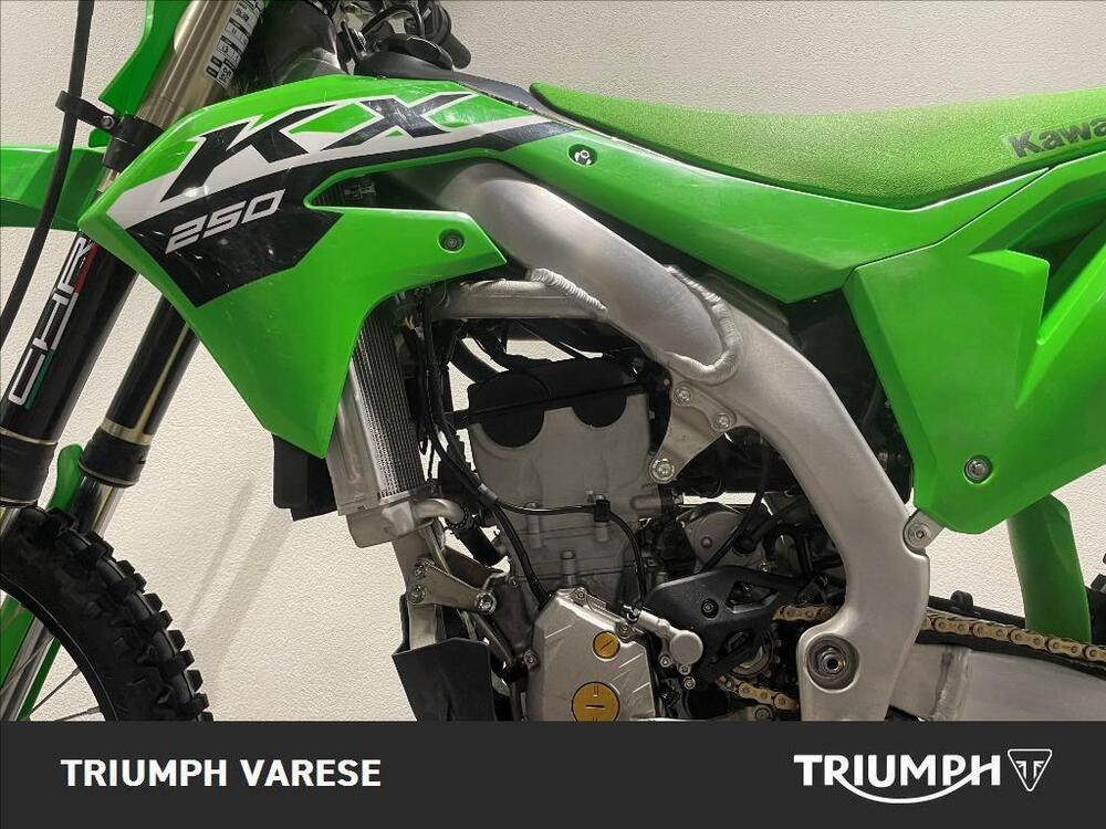 Kawasaki KX 250 (2024) (5)