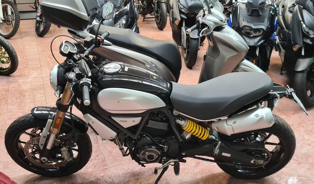 Ducati Scrambler 1100 (2018 - 20) (2)