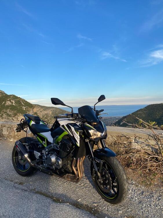 Kawasaki Z 900 Performance (2019)