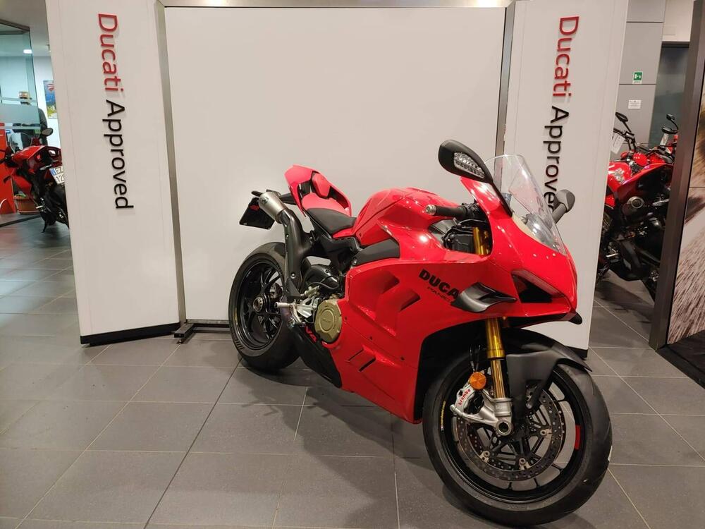 Ducati Panigale V4 S (2022 - 24) (2)