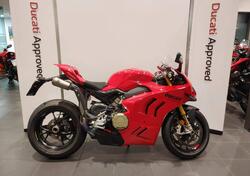 Ducati Panigale V4 S (2022 - 24) usata