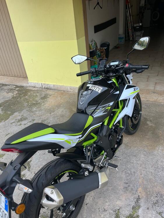 Kawasaki Z 125 (2019 - 20) (2)