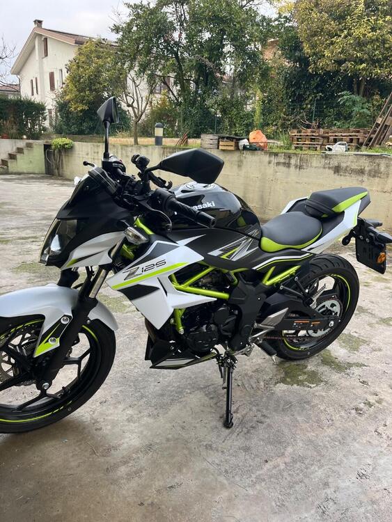 Kawasaki Z 125 (2019 - 20) (3)