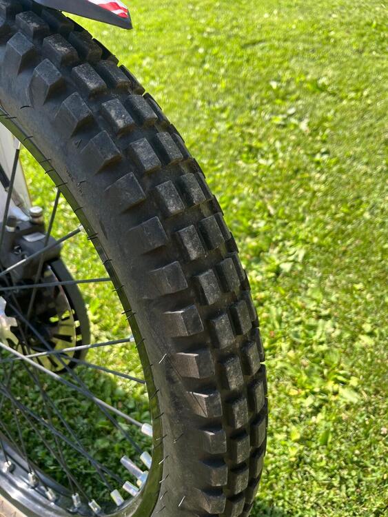 Betamotor Evo 300 SS 2t (2019 - 20) (5)