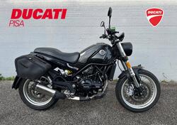 Benelli Leoncino 500 Trail (2021 - 24) usata