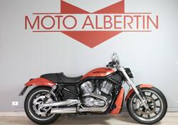 Harley-Davidson 1130 Street Rod (2005) - VRSCR usata