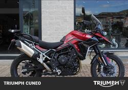 Triumph Tiger 900 GT Pro (2024) usata