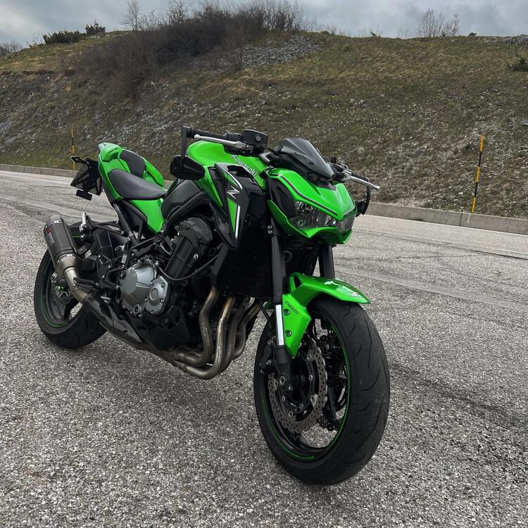 Kawasaki Z 900 Performance (2019) (5)