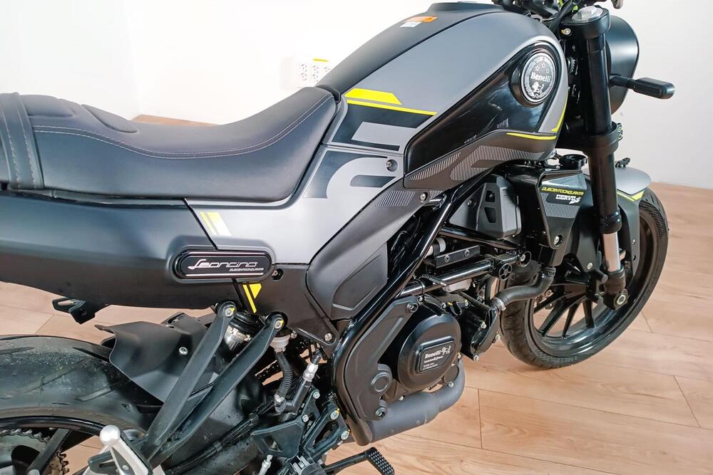 Benelli Leoncino 250 (2019 - 20) (4)