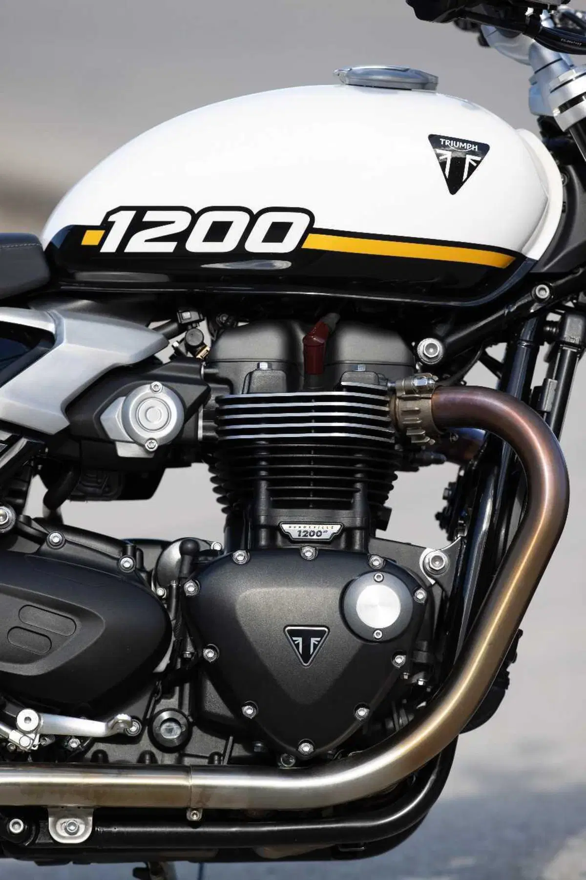 Triumph Speed Twin 1200 e Speed Twin 1200 RS: quale scegliere? (11)