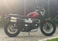 Triumph Street Scrambler 900 (2019 - 20) usata