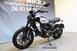 Ducati Scrambler 800 Icon (2023 - 24) (13)