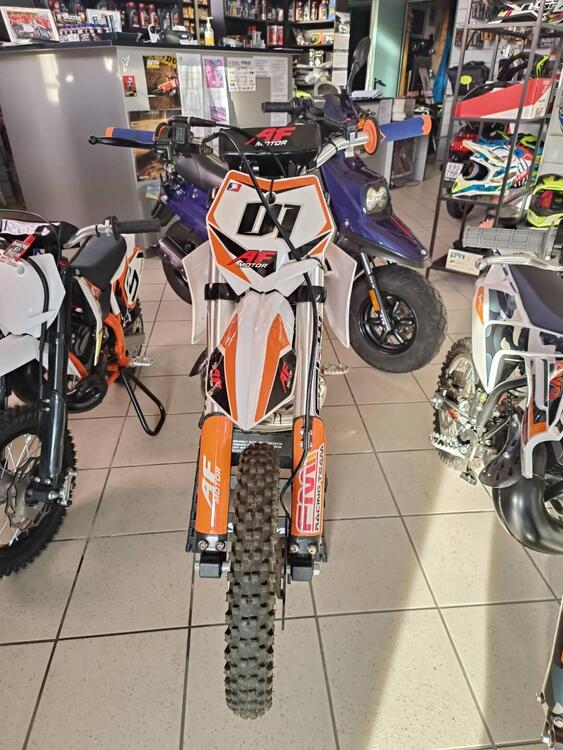  Altre moto o tipologie Minimoto (2)