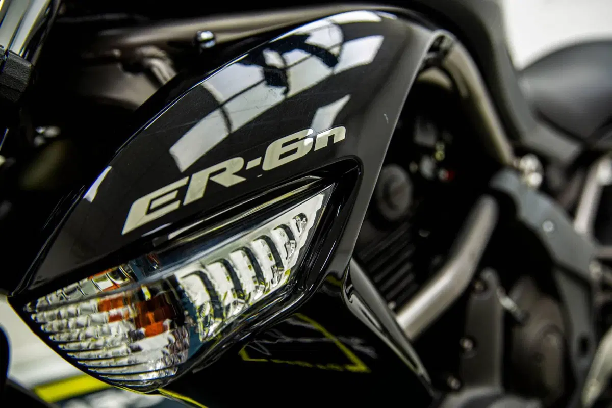 Kawasaki ER-6N (2009 - 11) (10)