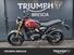 Triumph Speed 400 (2024) (12)