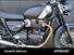 Triumph Speed Twin 900 (2023 - 24) (6)