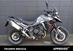 Triumph Tiger 900 GT (2024) usata